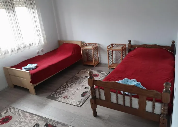 Nebo * 소코 반자